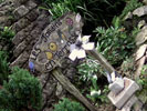 Image 01